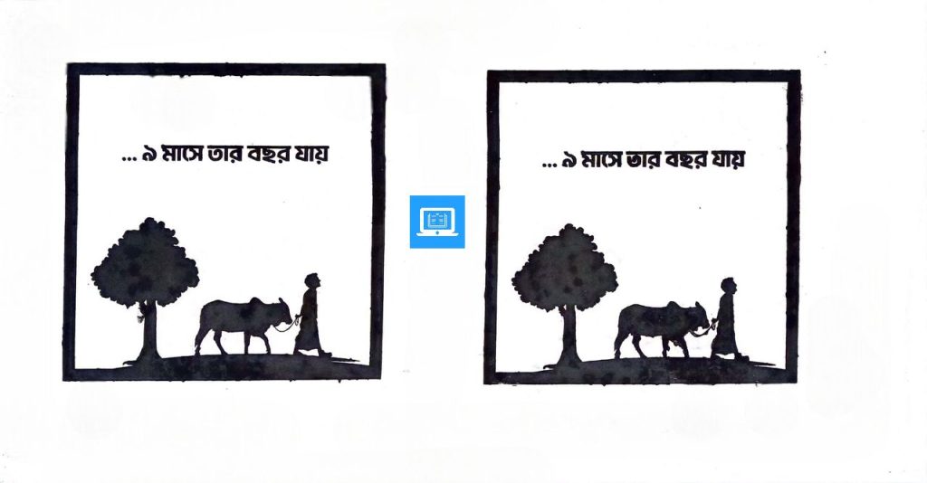 ৯ মাসে তার বছর যায় চিত্রকর্ম